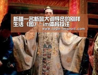 im体育下载