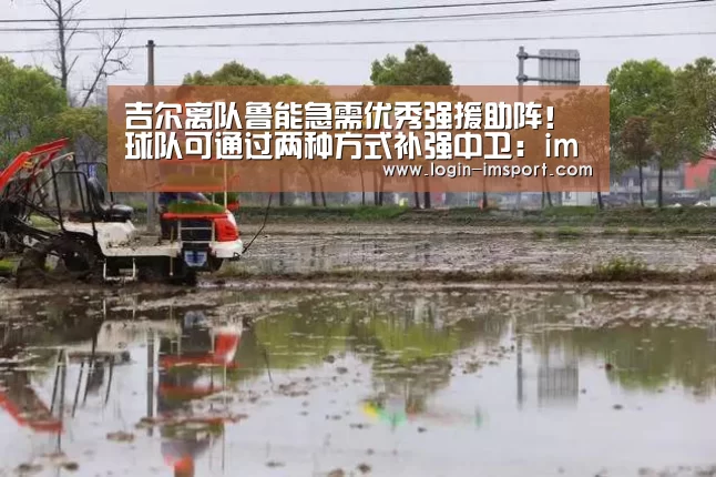 im娱乐