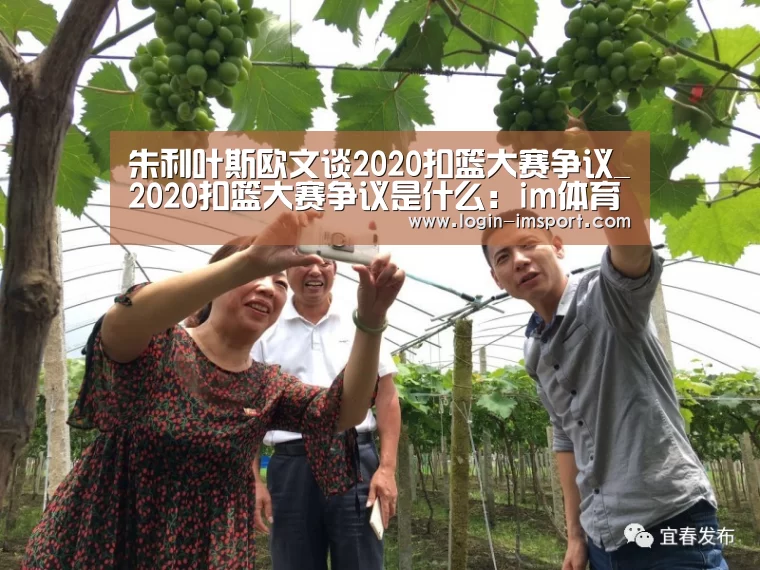 im体育投注