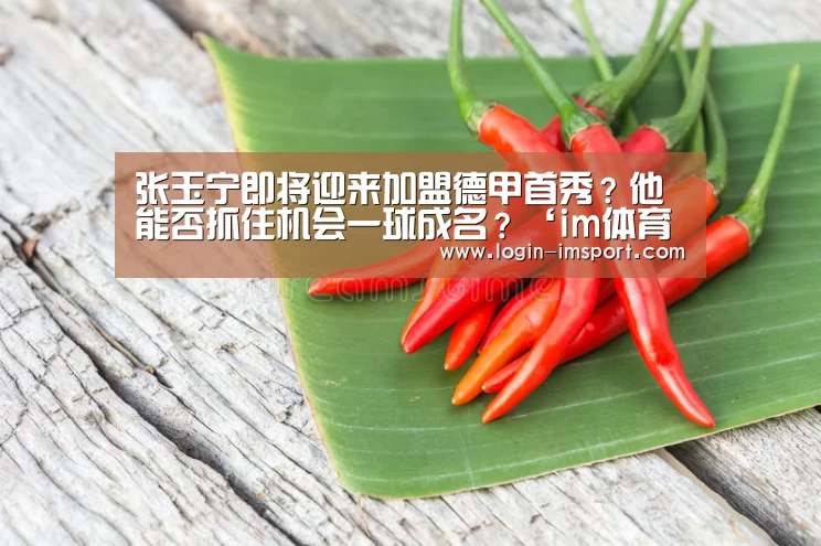 张玉宁即将迎来加盟德甲首秀?他能否抓住机会一球成名?‘im体育投注’(图1) im娱乐